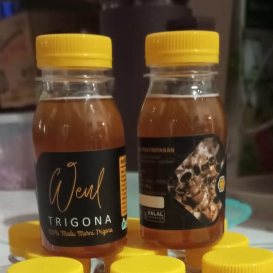 Madu Trigona - 100gr